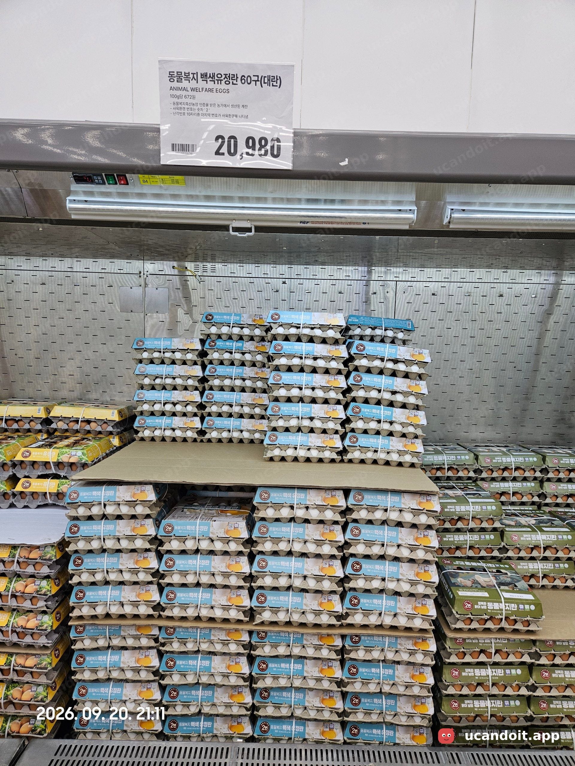 동물복지 백색유정란도 있네요. 대란 60구 묶음에 20,980원이에요.